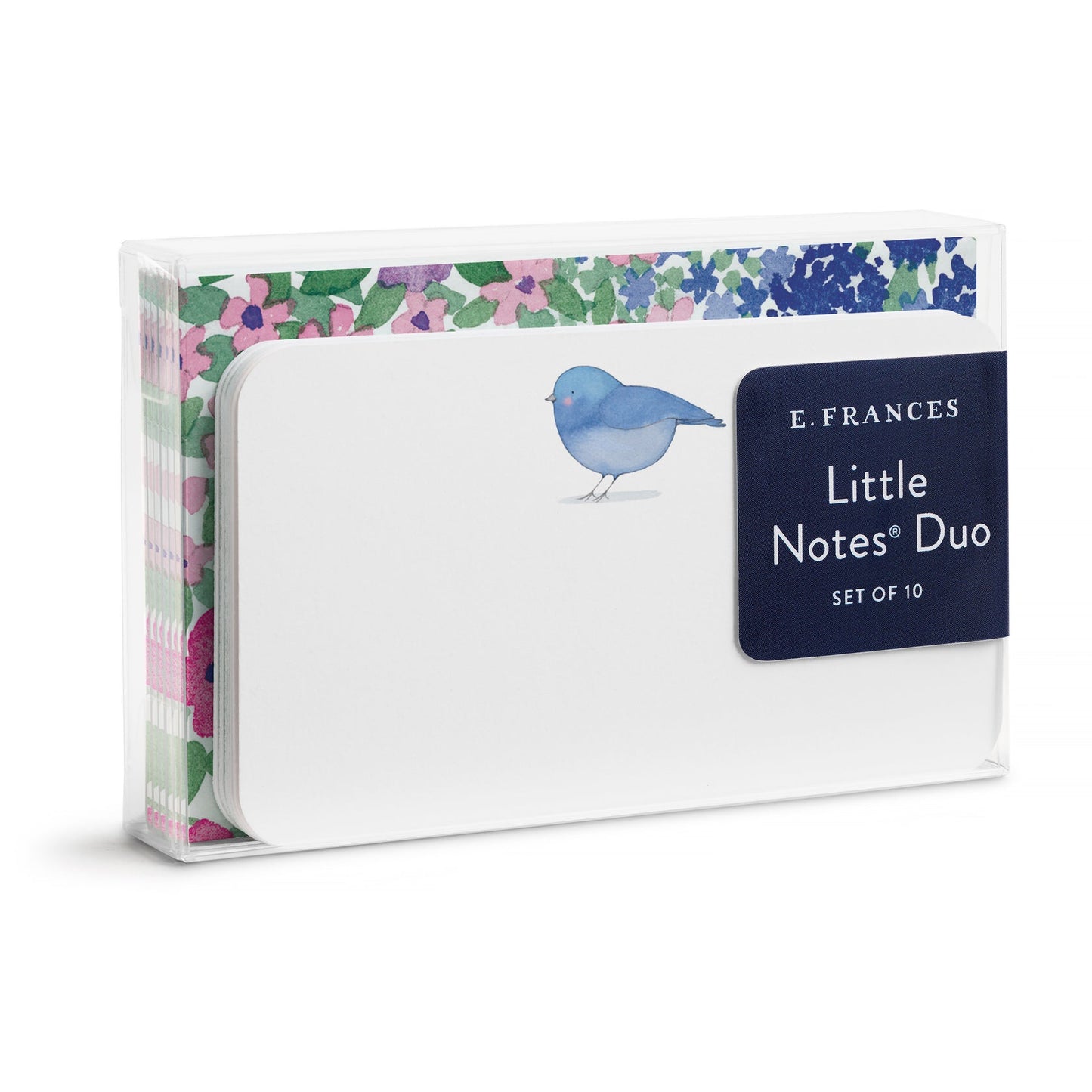 Birdie note cards duo set in white box with blue bird illustration and gift label