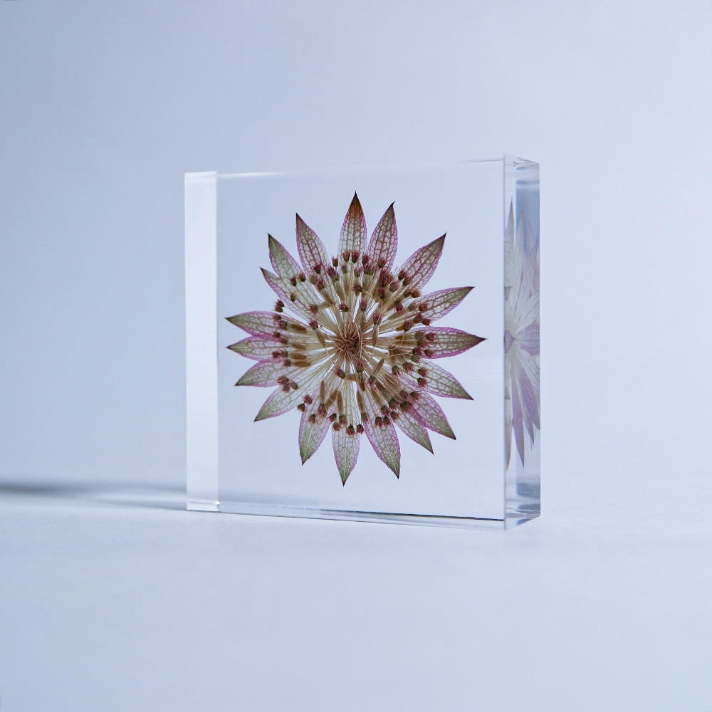 Decorative glass tile with pressed flower print in pink and green, front-facing.