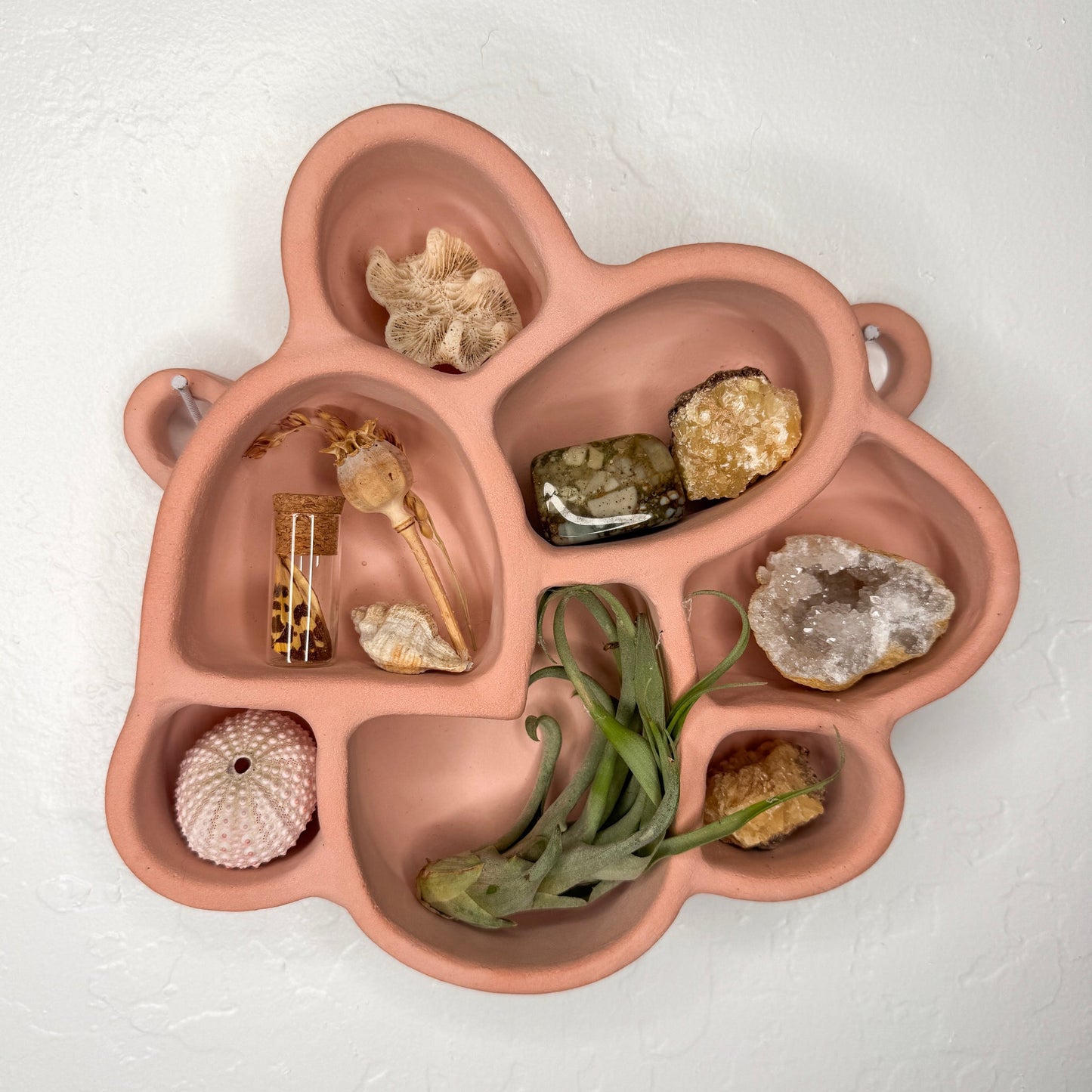 Petal-shaped terracotta cement wall shelf with 5-6 compartments for decor stones