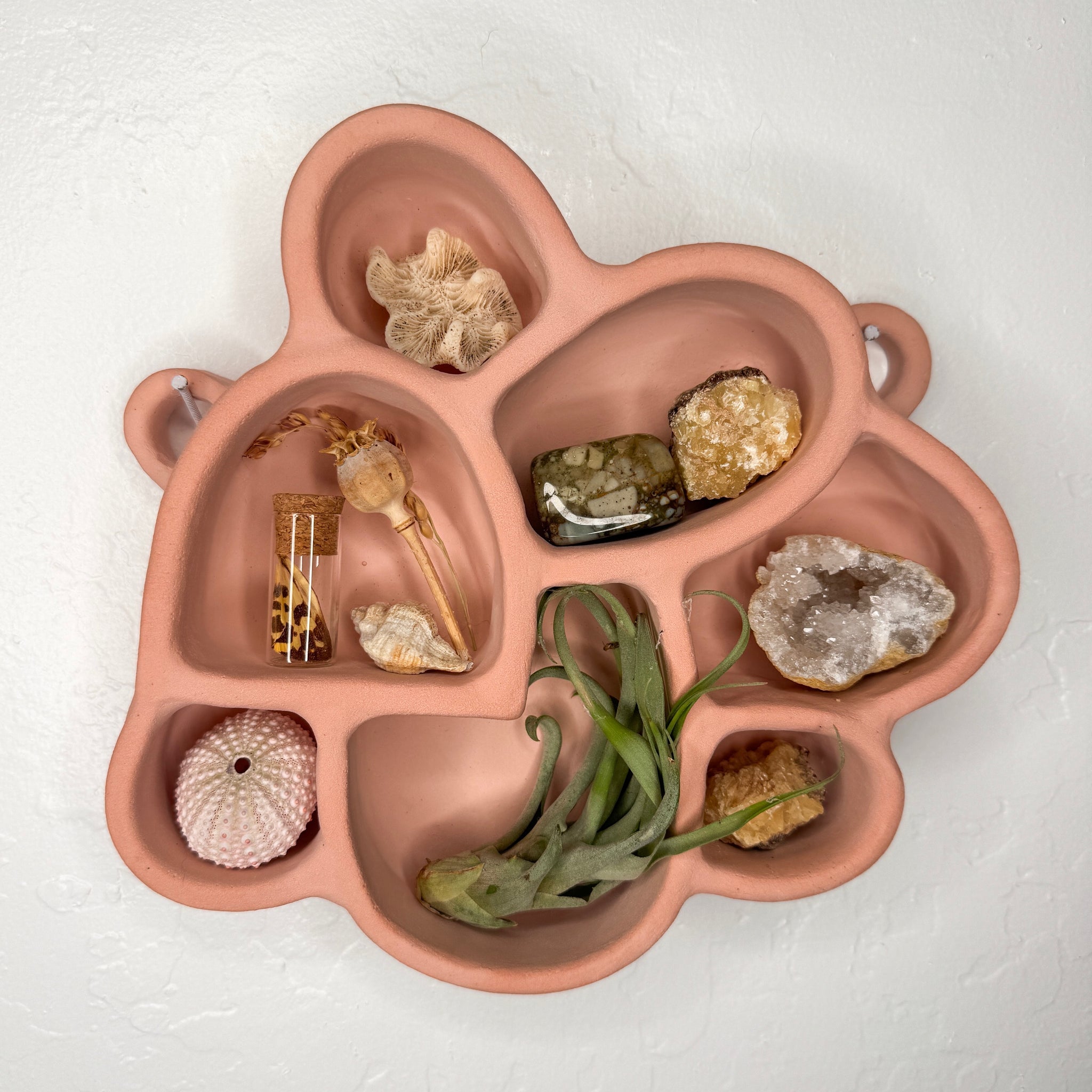 Petal-shaped terracotta cement wall shelf with 5-6 compartments for decor stones