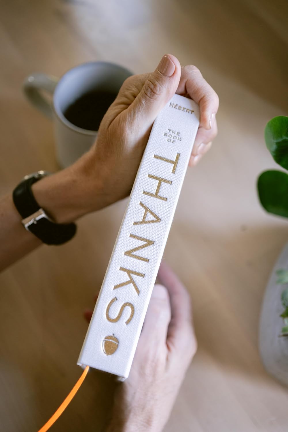 The Book of Thanks: A Catalogue of Gratitudes