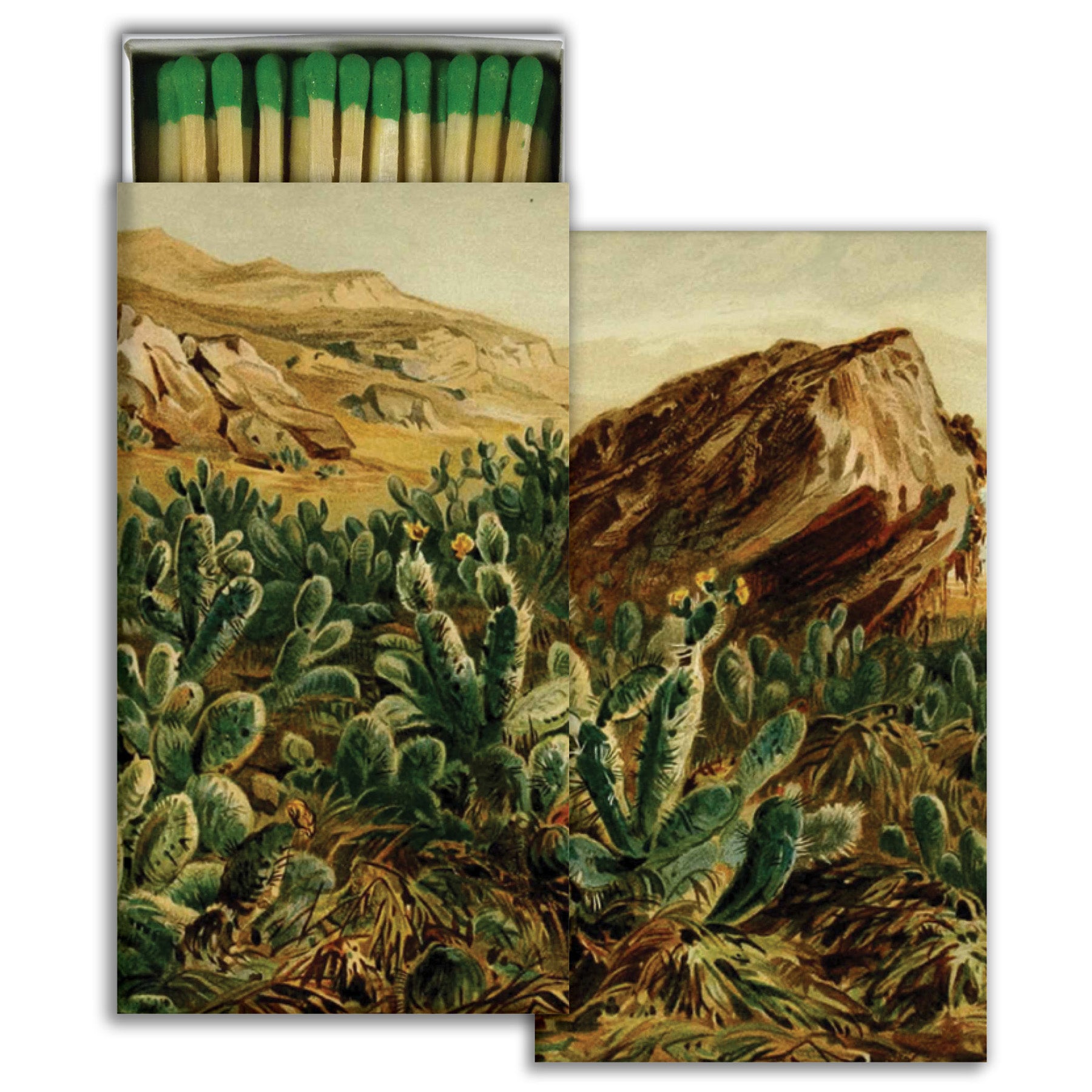 Prickly pear cactus matchbook with desert artwork, paper cover and exposed match tips
