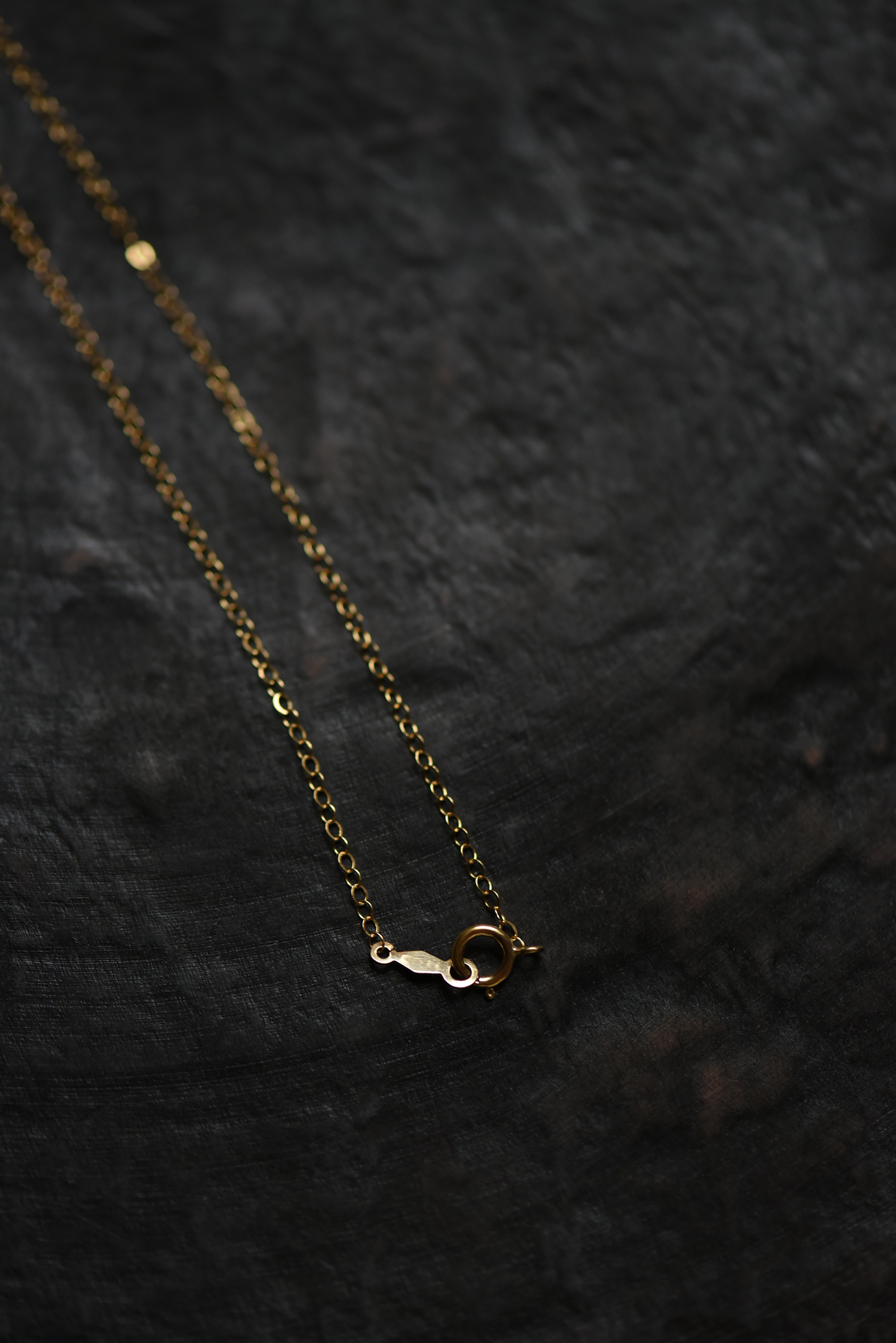 Gold-tone link necklace with clasp and small chain loops on dark fabric