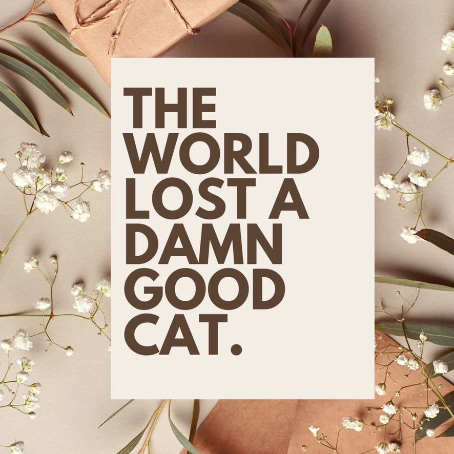 Sympathy card with bold message: THE WORLD LOST A DAMN GOOD CAT.