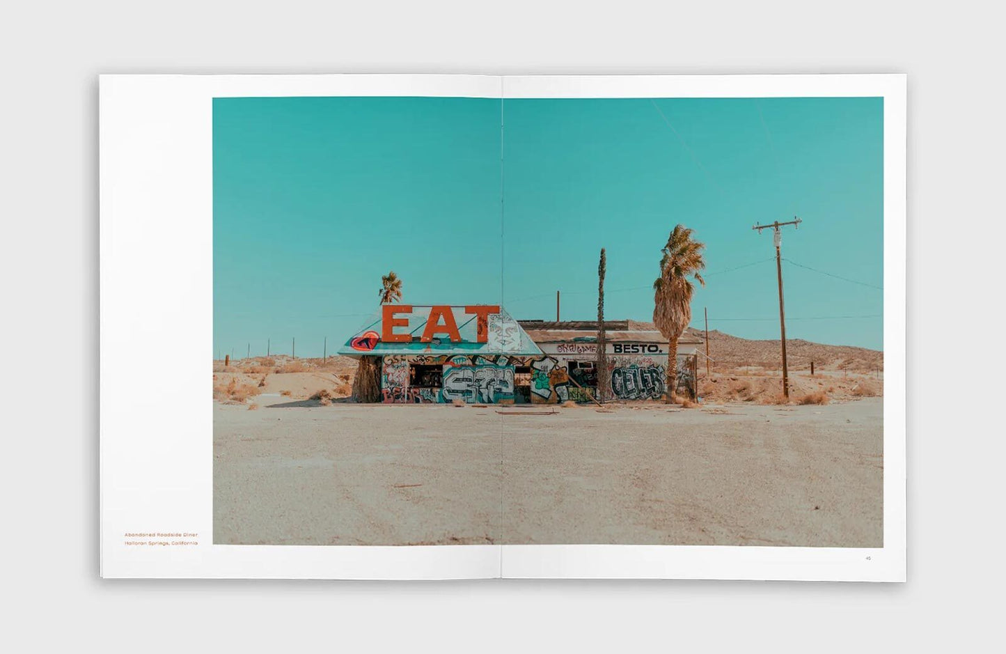 Photo print page showing desert road, roadside sign, and lone palm tree