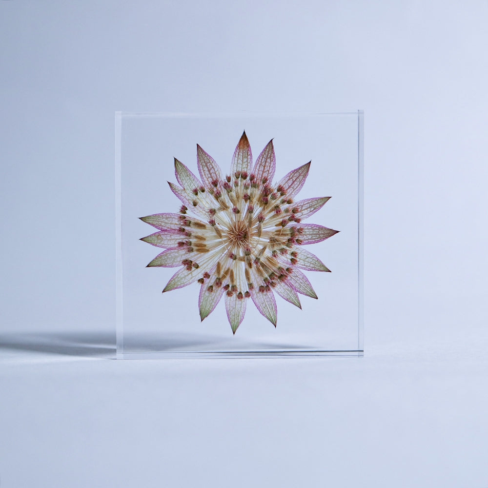 Decorative glass tile with large pink and green flower design, centered, front view.