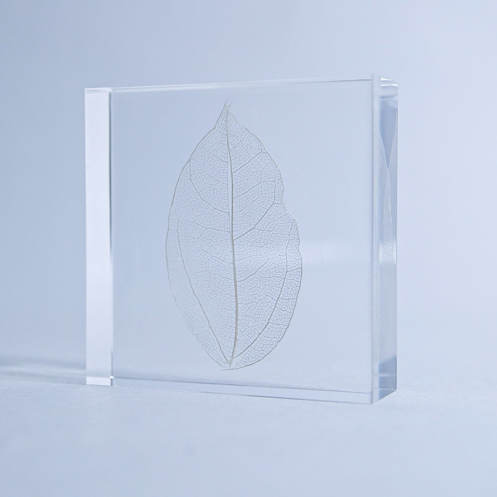 Clear acrylic tile with a white skeleton leaf design and transparent frame edges.