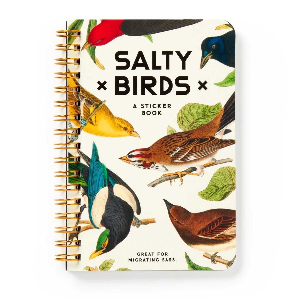 Salty Birds sticker book cover with spiral rings and illustrated seabirds.