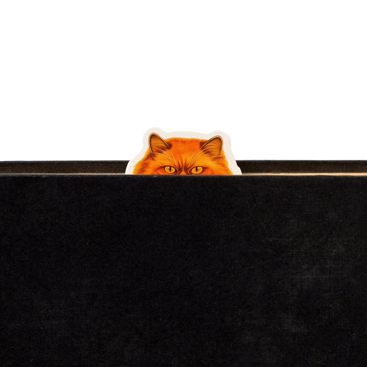 Moody Cats Magnetic Bookmark Set