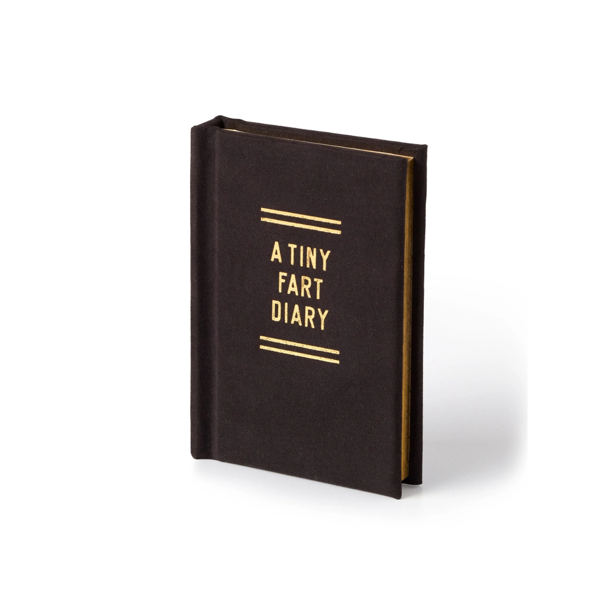 Tiny Diary - Fart Diary
