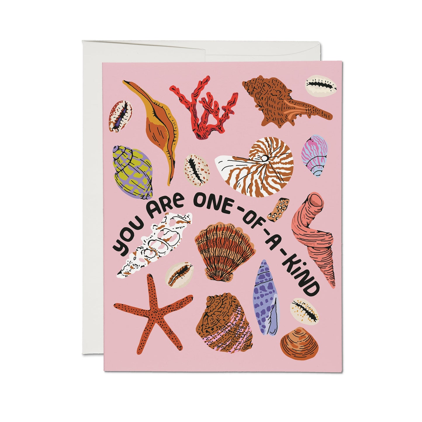 Seashell greeting card with pink background, colorful shells, 'You are one of a kind' text