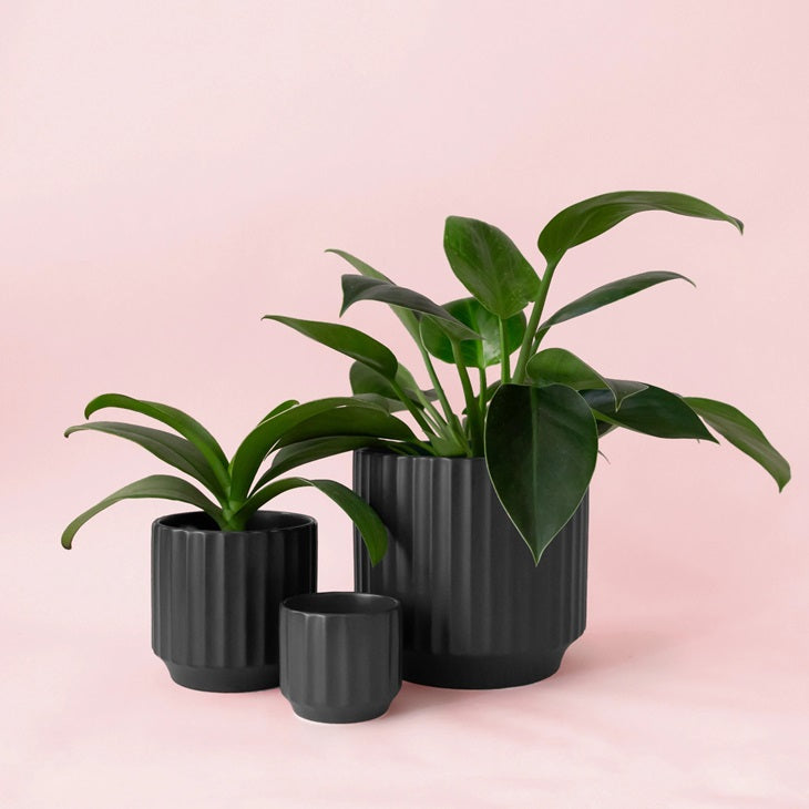 Black ribbed planters with small plant in front, two larger pots behind