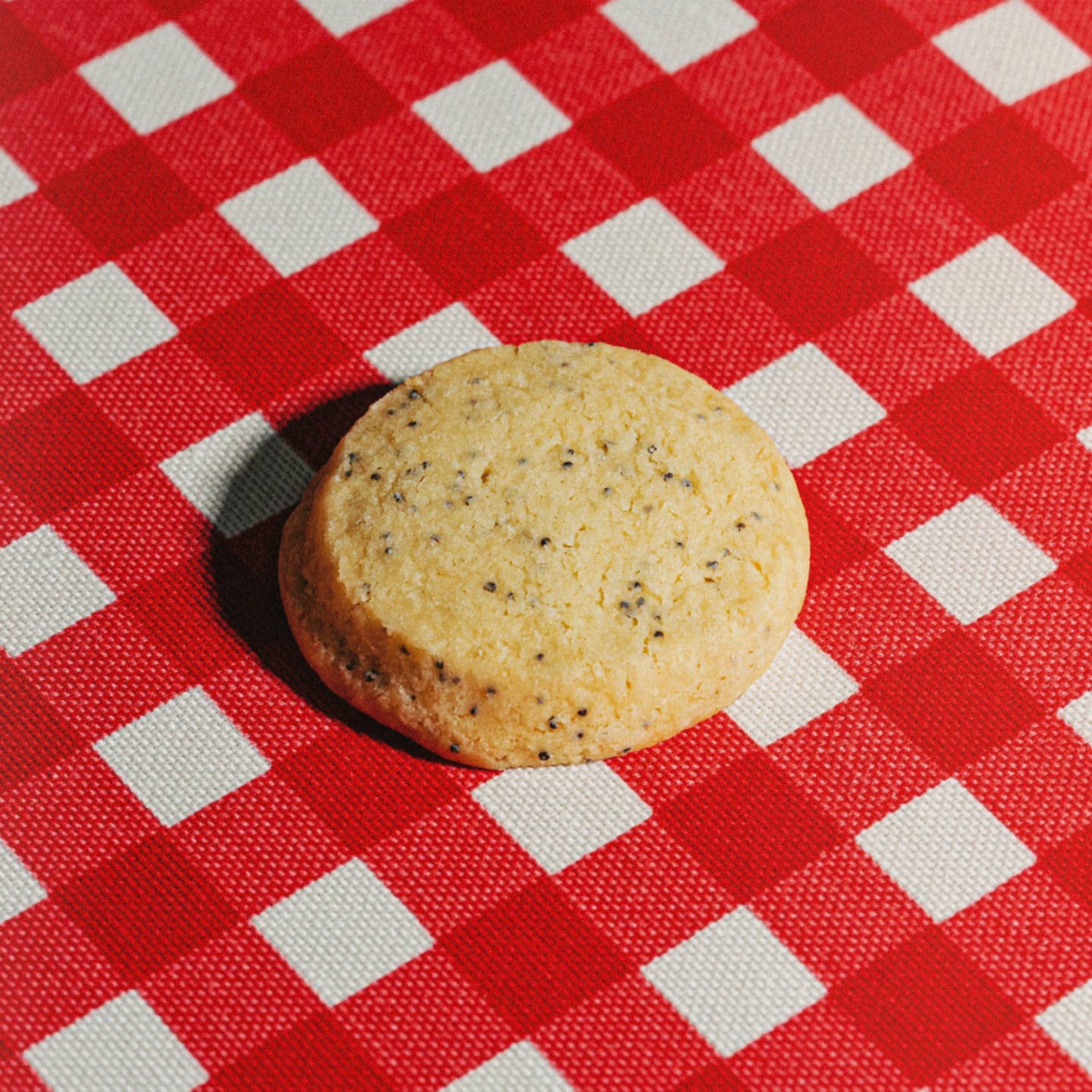 Single round lemon poppy shortbread butter cookie with black seeds
