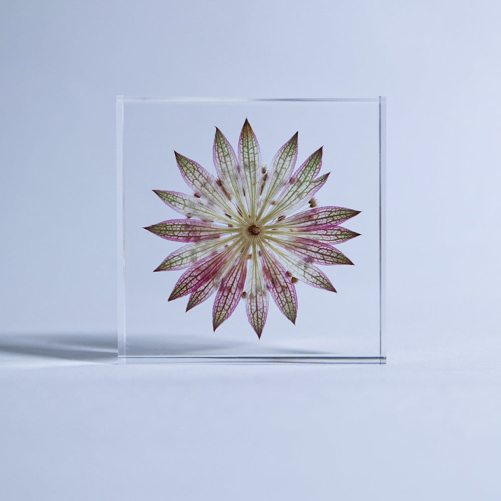 Decorative glass tile with purple-pink flower illustration, centered on clear acrylic.