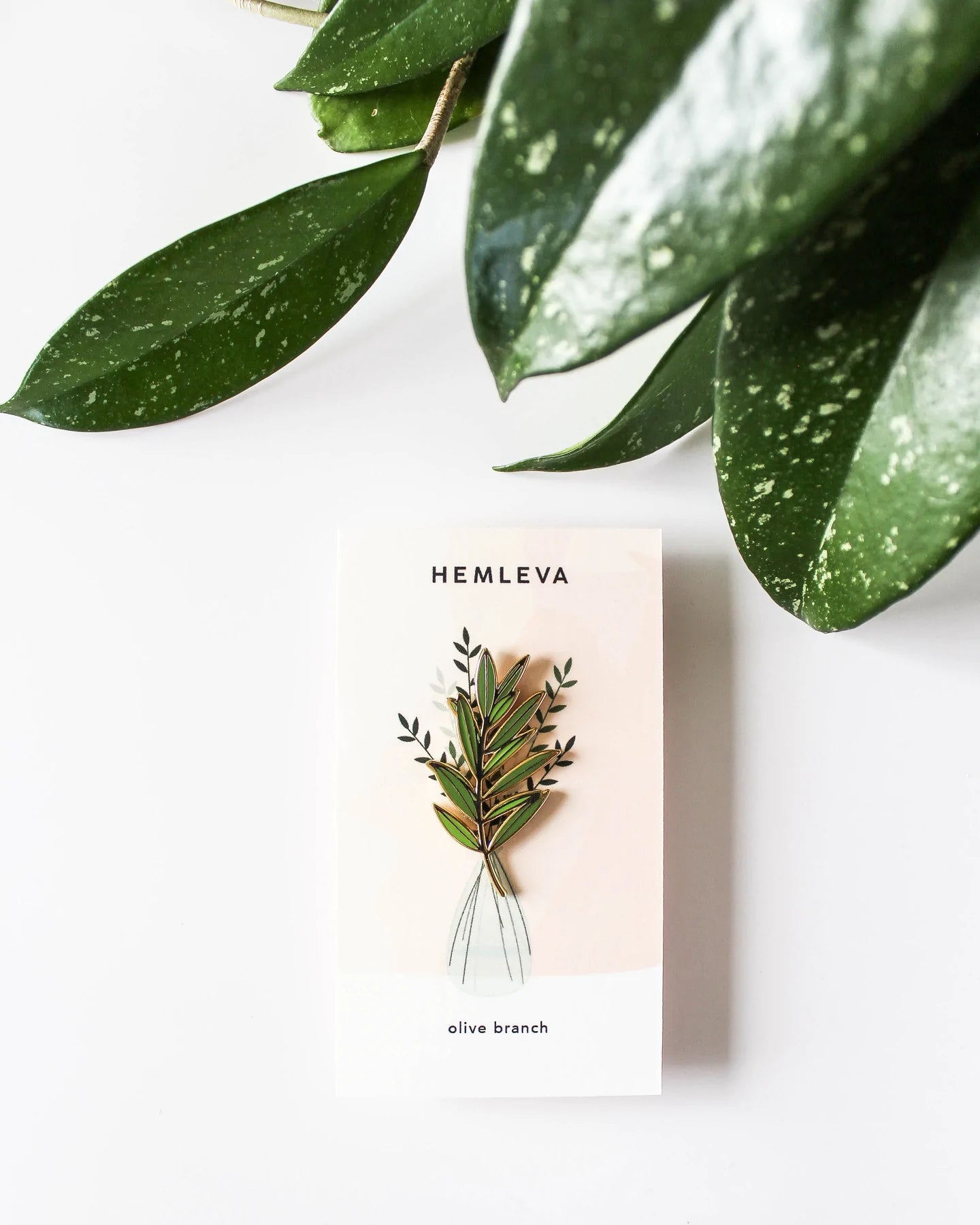 Olive branch enamel pin on white card with illustrated olive branch