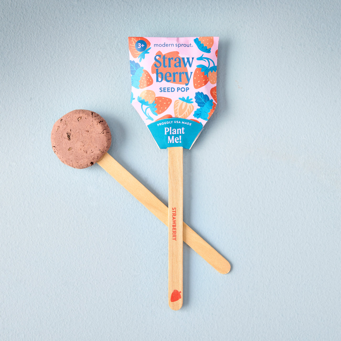 Strawberry seed pop stick with seed packet and wooden planting handle