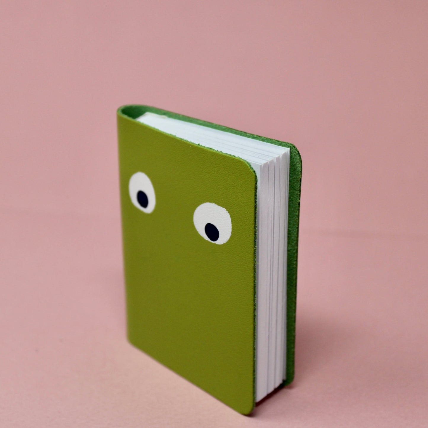 Green mini leather notebook with white googly eyes on the front cover
