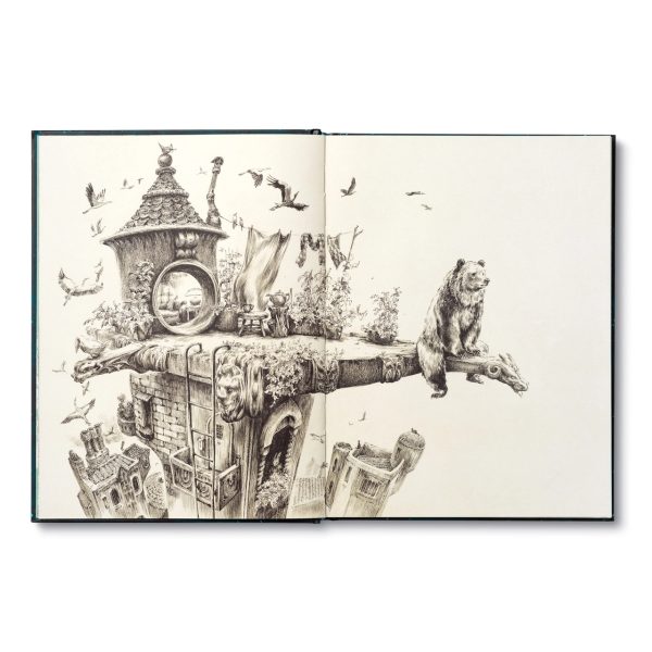 Hardcover book opened to monochrome illustration of birds over a city and a bear