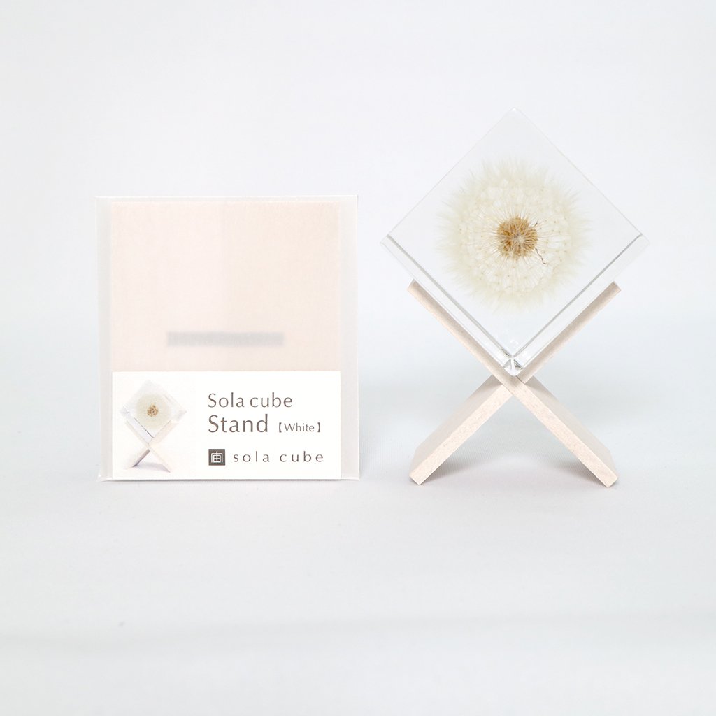 White wooden square cube stand with glass top and dandelion globe decoration