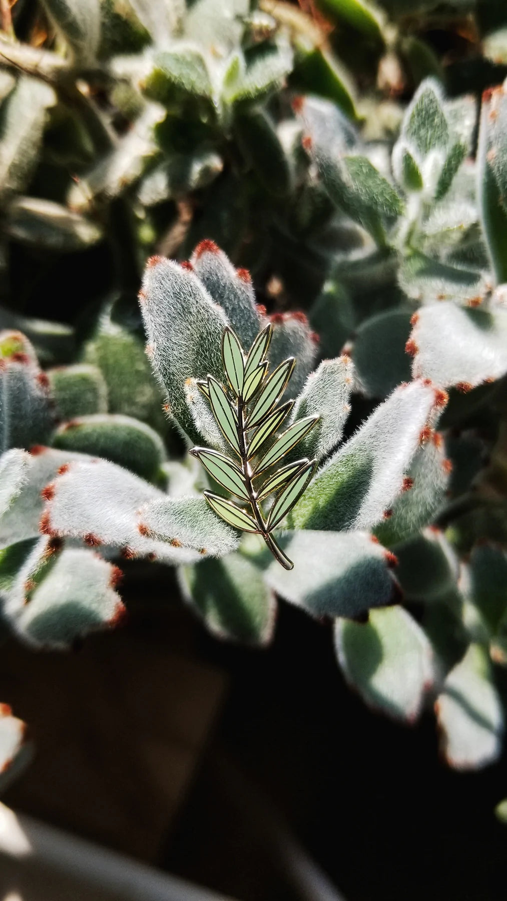 Olive branch enamel pin on fuzzy green cactus leaves