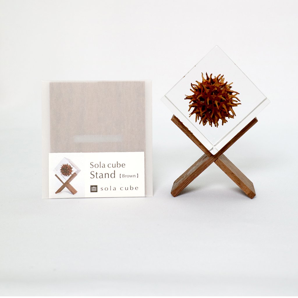 Brown wooden square cube stand with glass top and spiky flower decor