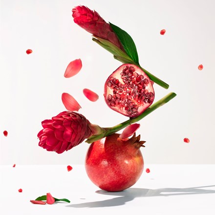 Red ginger botanical scene with flowers and red fruit elements