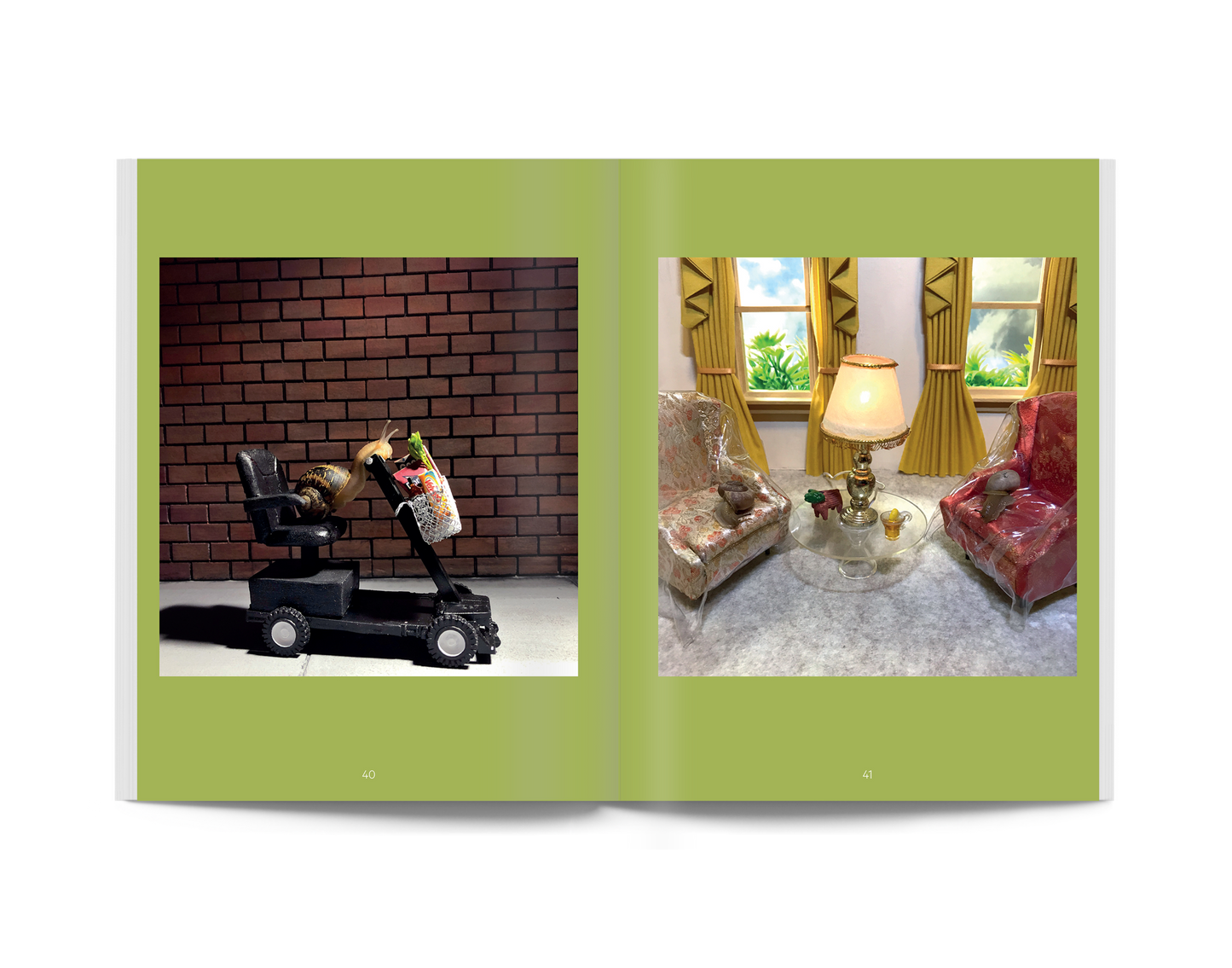 Open book spread showing two photos of a small snail in indoor scenes