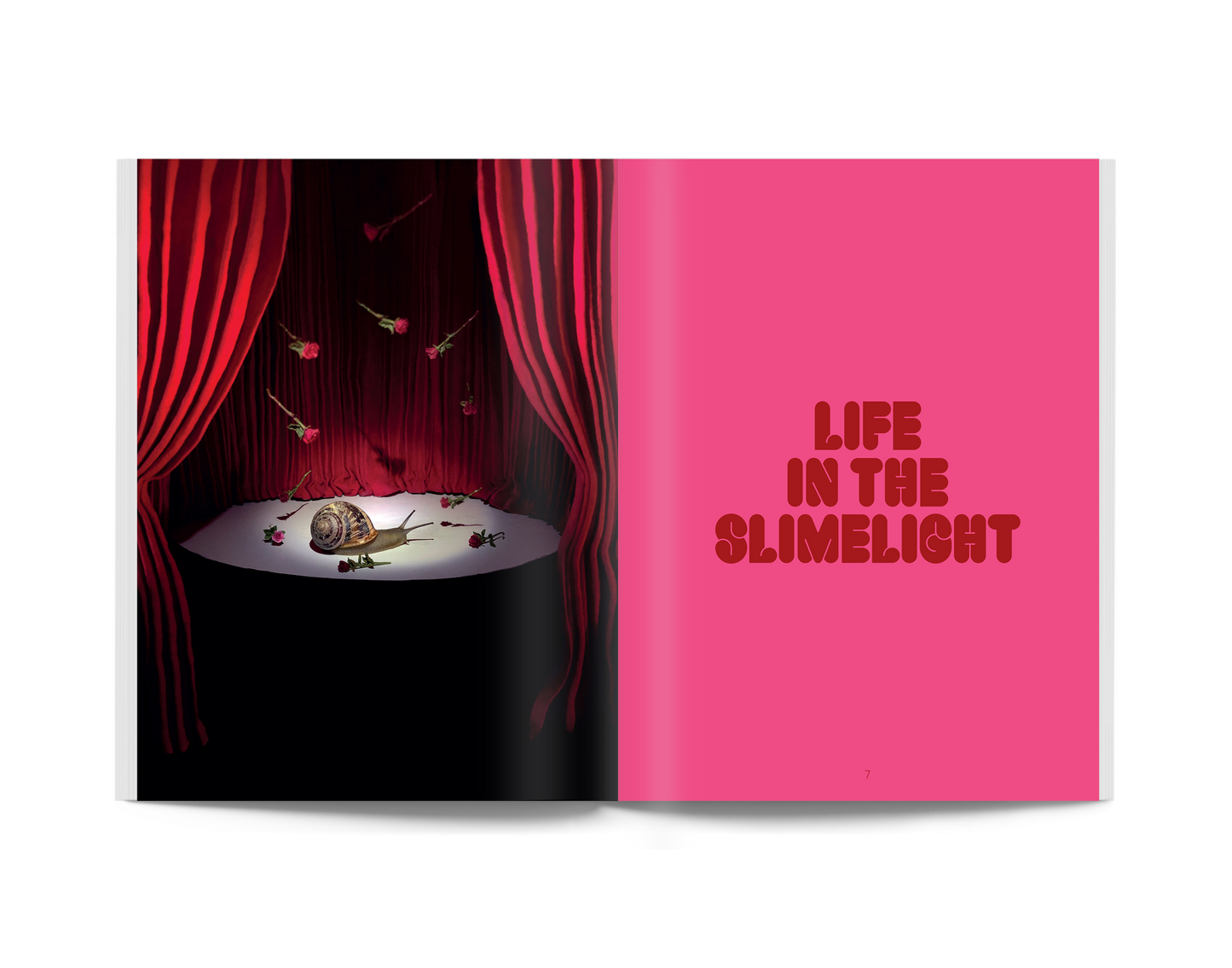 Open book spread with dark stage curtains on left and pink "LIFE IN THE SLIMELIGHT" on right