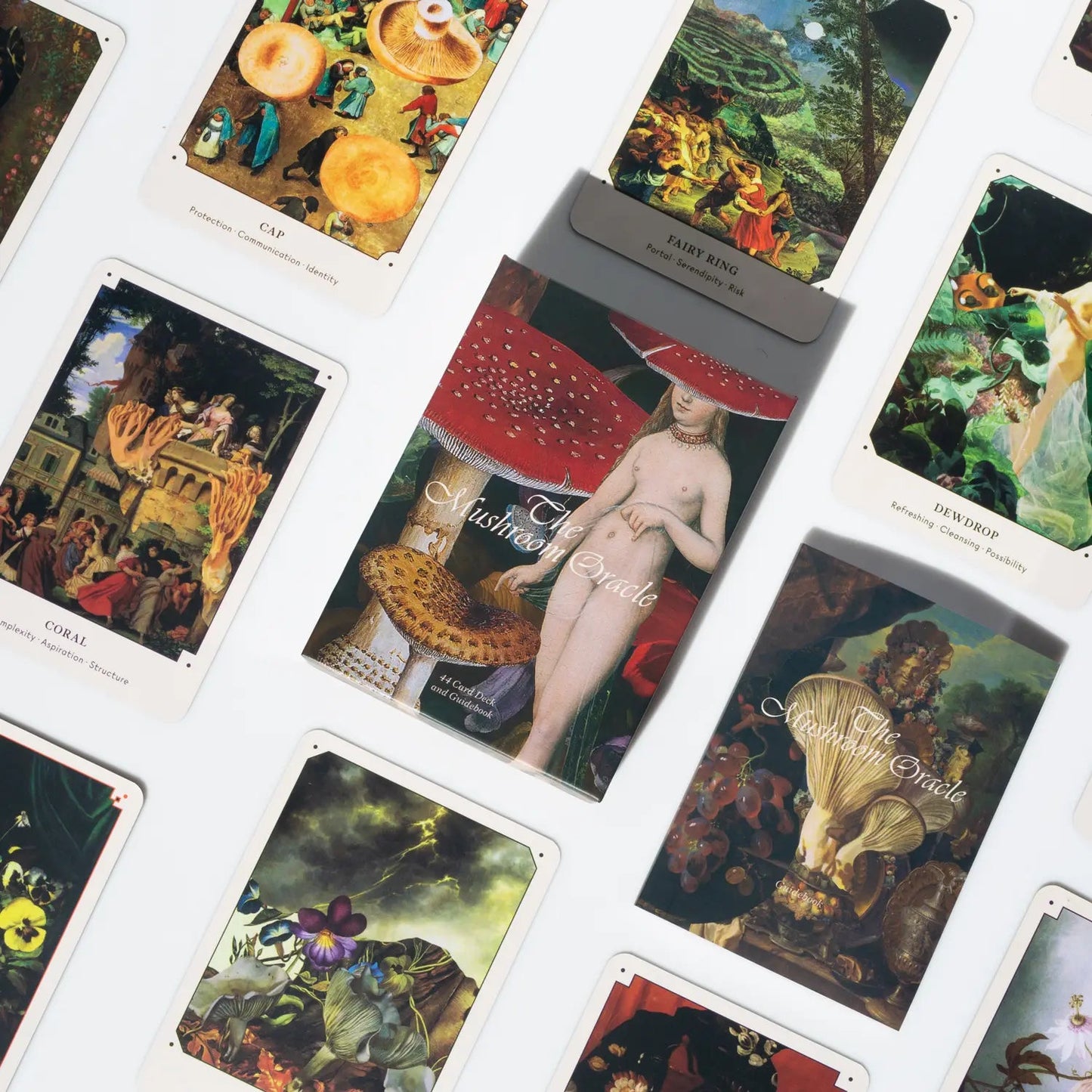 Oracle card deck spread, showing multiple card faces with white borders and mushroom art