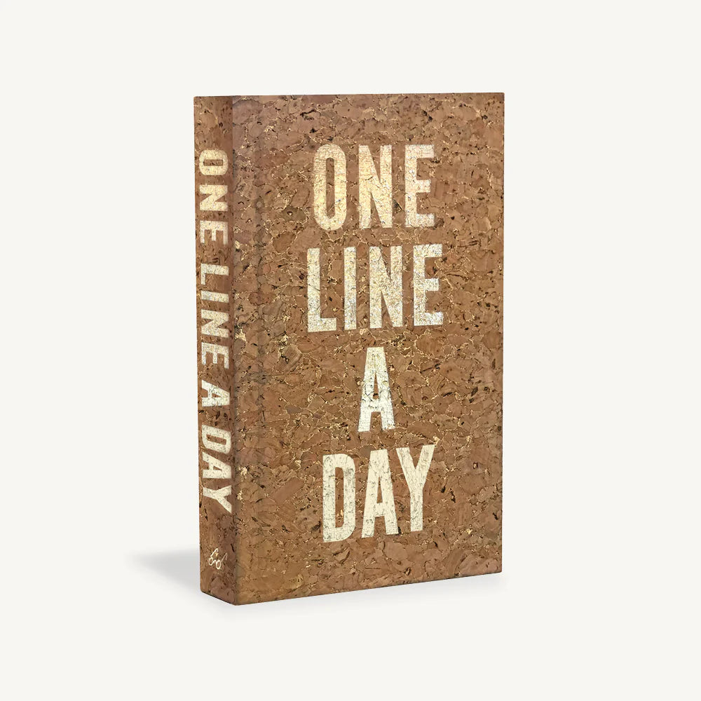 Cork one-line-a-day five-year journal with brown cover and "ONE LINE A DAY" text