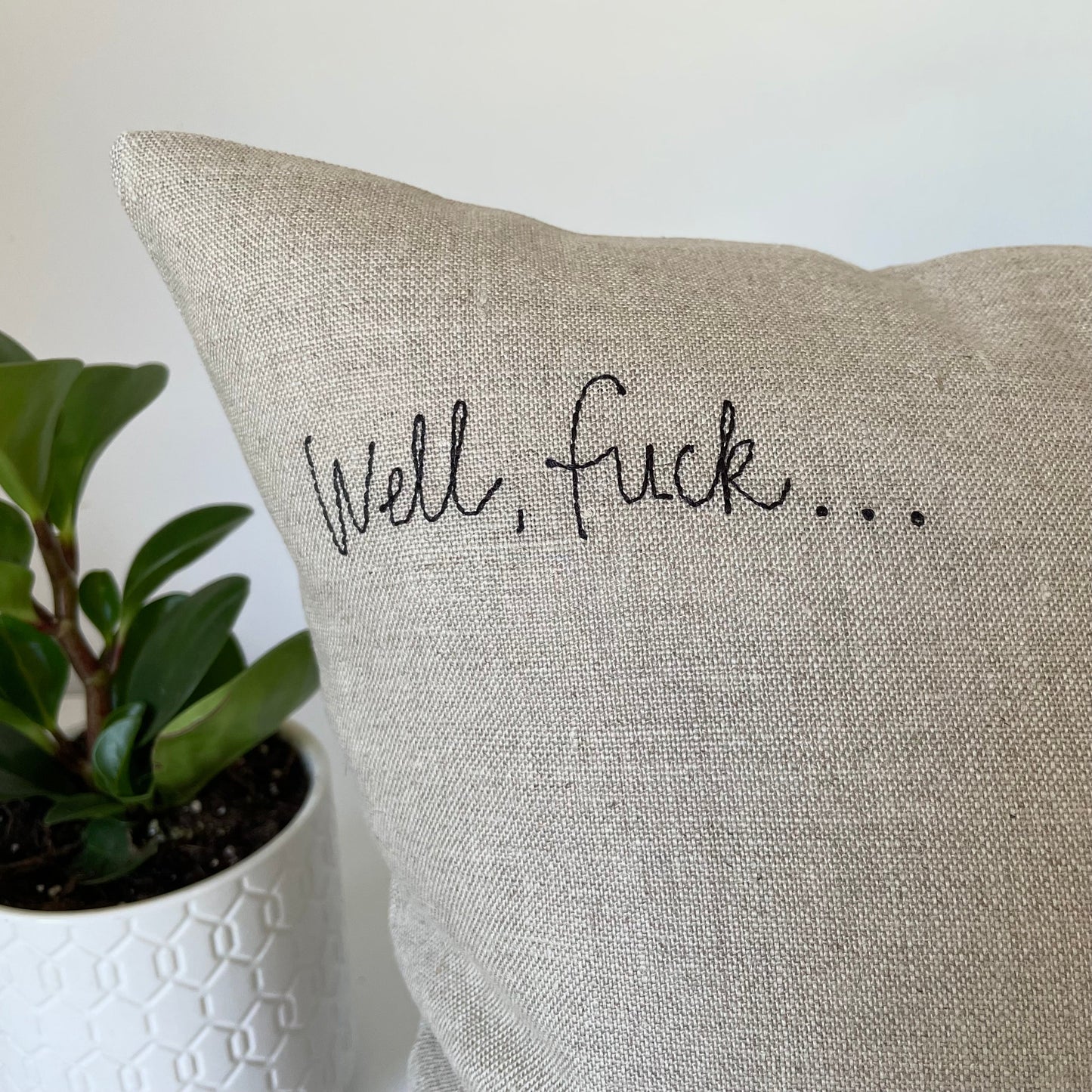 Beige linen pillow close-up with 'Well, fuck...' stitched lettering