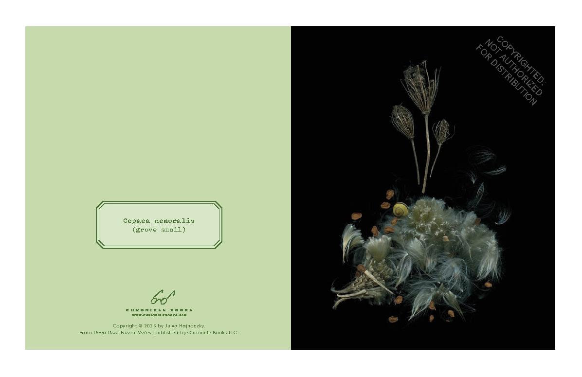 Cookbook back cover with floral still life and small recipe text