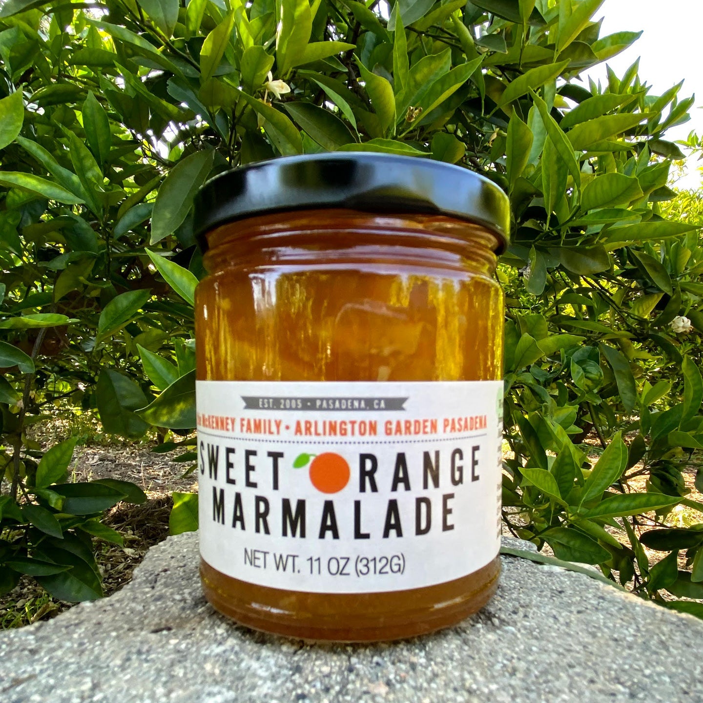 Orange marmalade jar with dark amber preserves and green screw-top lid