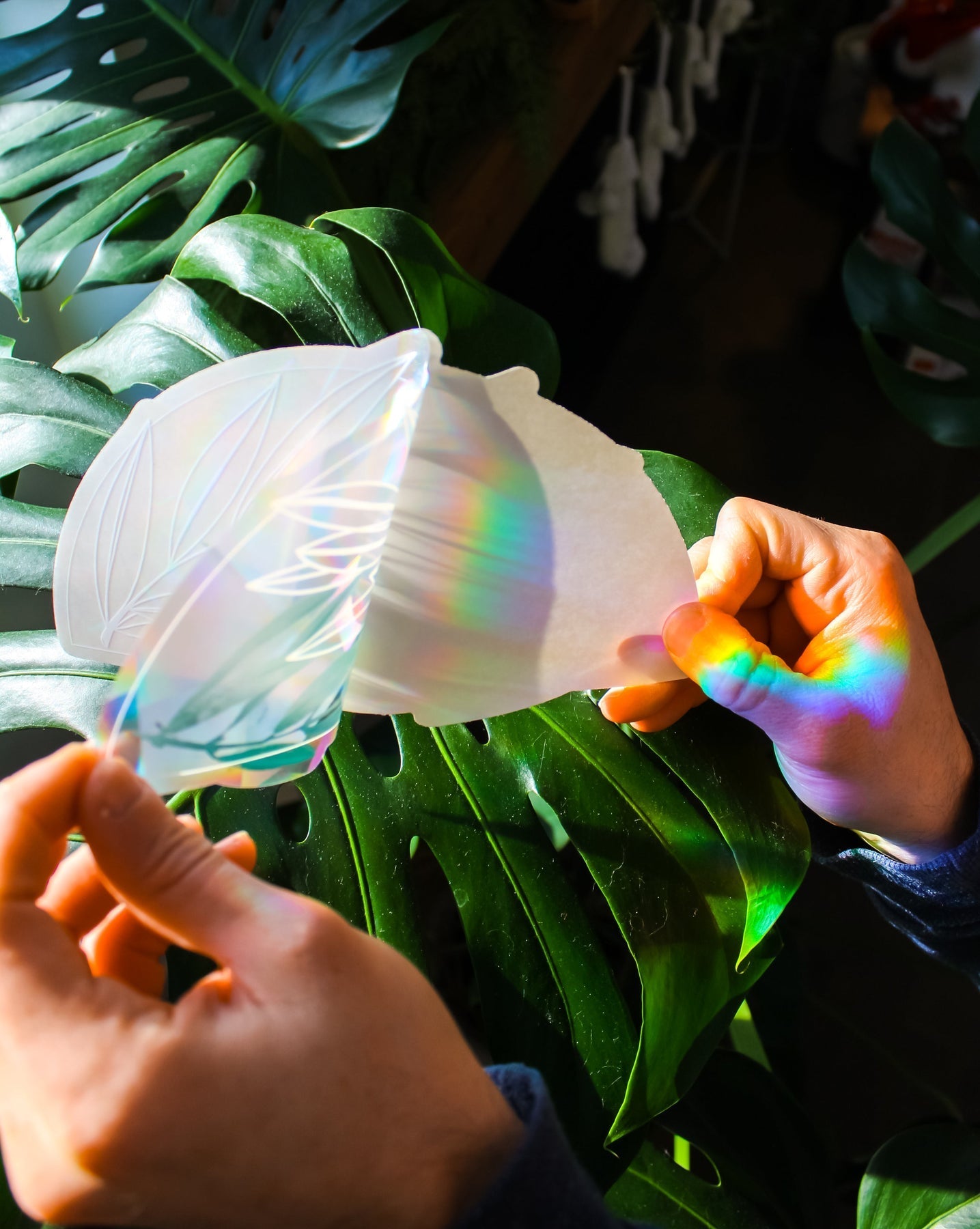 Leaf-shaped olive-branch suncatcher with rainbow prismatic light and white design