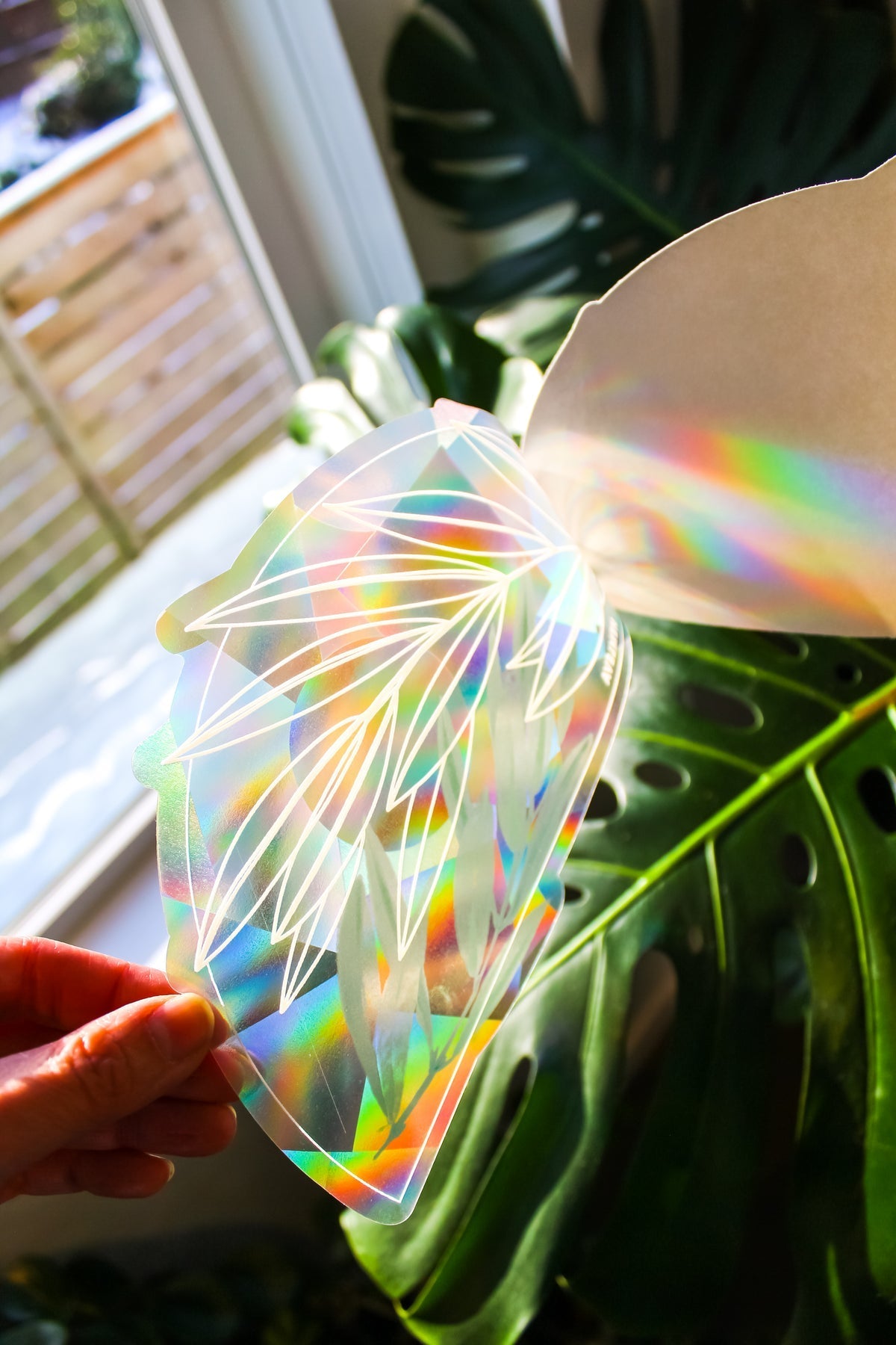 Leaf-shaped olive-branch suncatcher held up with rainbow light across the surface
