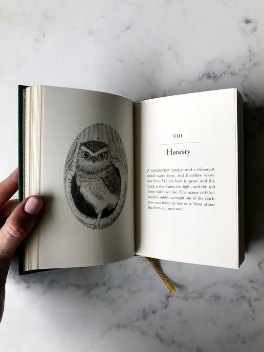 Opened book showing owl illustration on one page and chapter text on the other