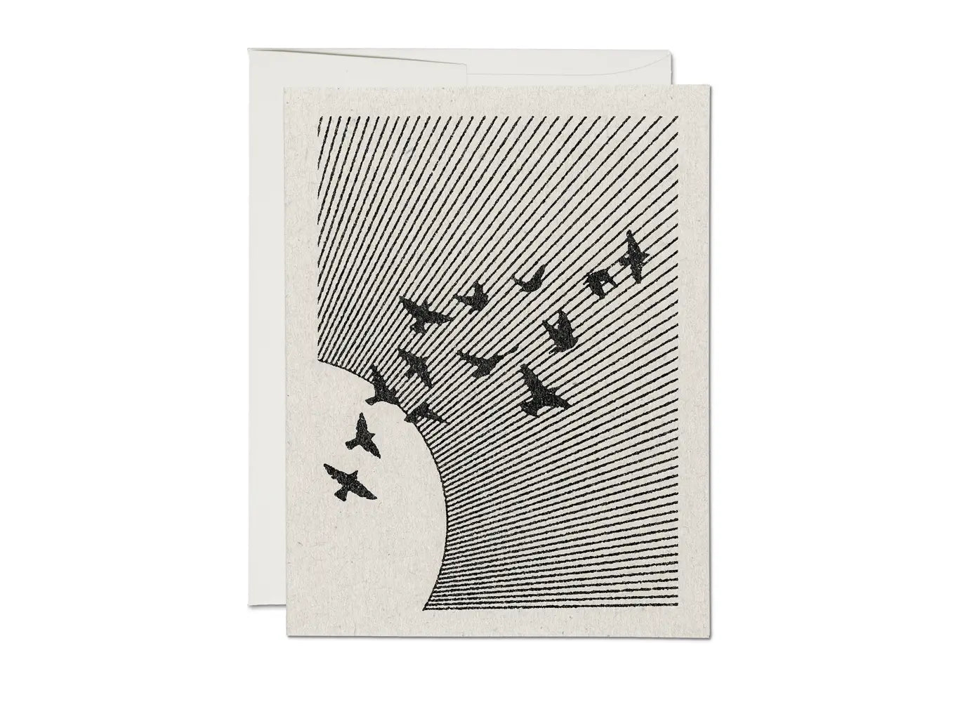 Everyday flock greeting card with striped sky and black bird silhouette flock