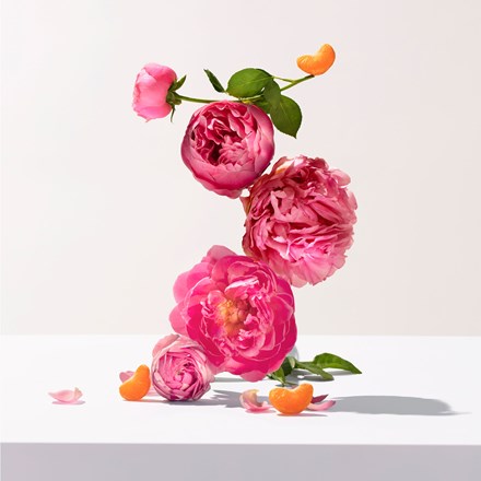Hand and nail cream with pink rose flowers and green leaves on white surface