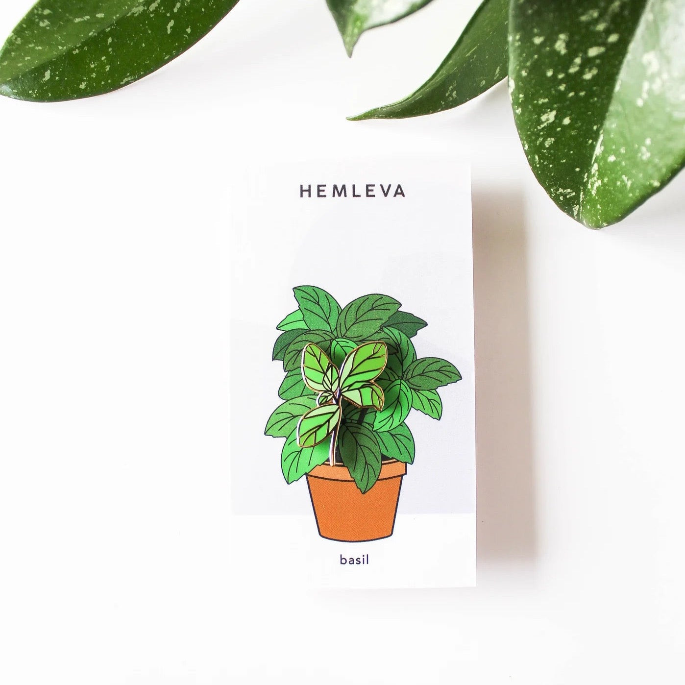 Basil enamel pin on card with green basil plant in a terracotta pot