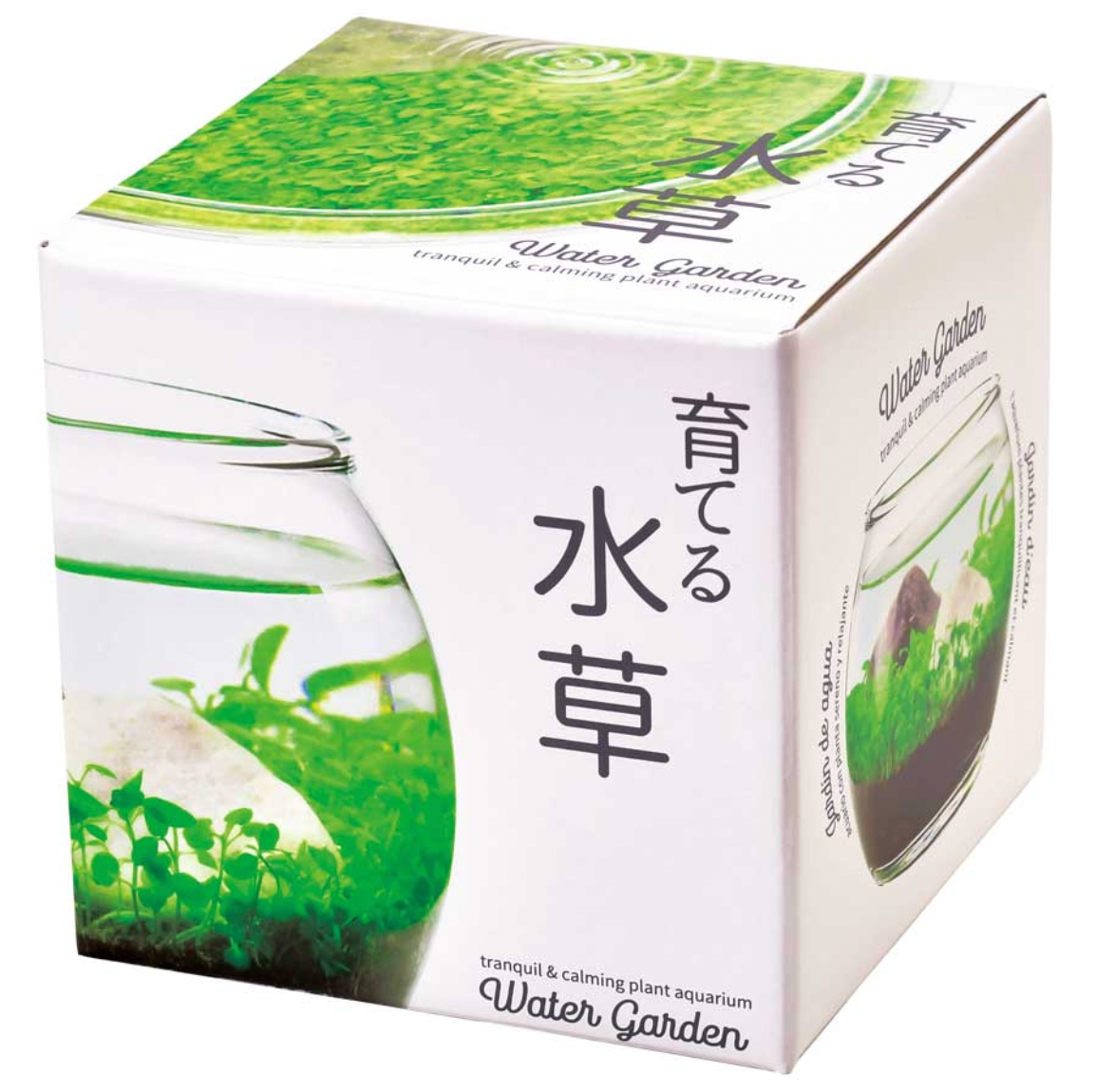 Aquatic plant aquarium kit box with green landscape illustration
