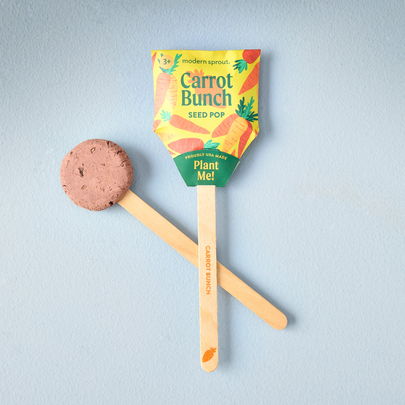 Carrot bunch seed pop stick with seed packet and wooden planting handle